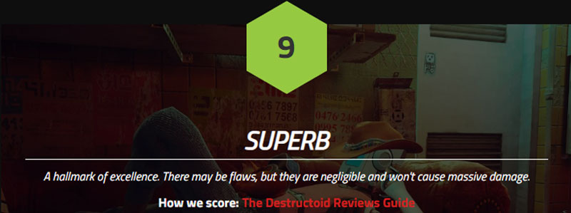 Stray destructoid Review