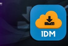 1dm 1