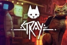 Stray Cat 1