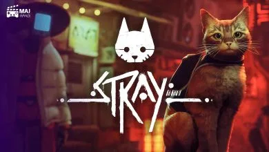 Stray Cat 1