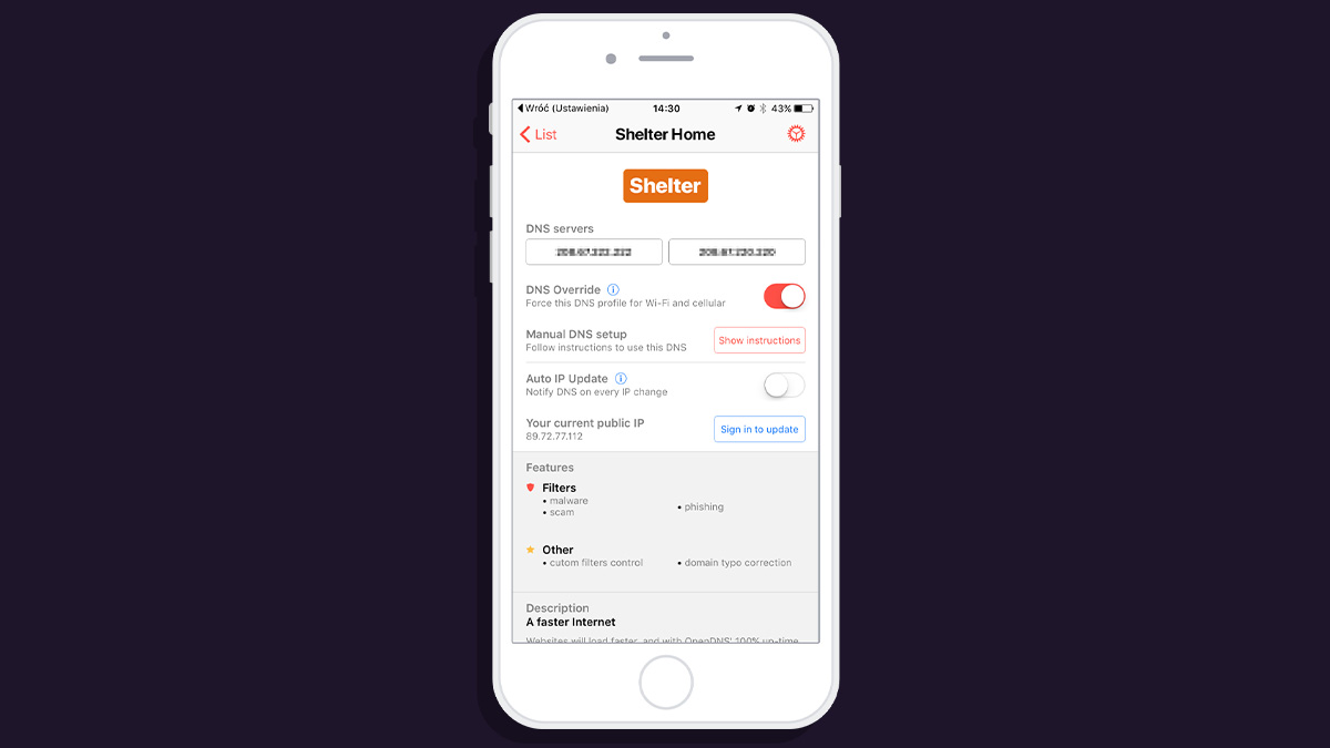 DNS Override iPhone